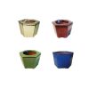 6" Hexagon Self-watering Assortment.  8 pieces