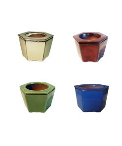 6" Hexagon Self-watering Assortment.  8 pieces