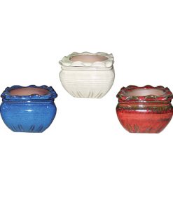 6" Square Scalloped Self Watering Assortment