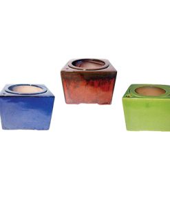 6" Square Contemporary Self-watering Pot Assortment