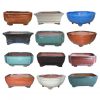 Professional Bonsai Pot Assortment.  
