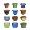3" Cactus & Bonsai Pot 40pc/cs
