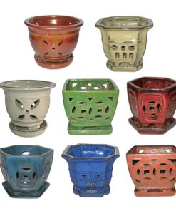 5" Orchid Pot Assortment