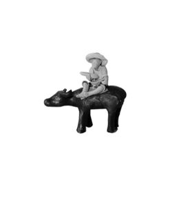 Man on Bull