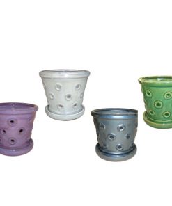 5" Rings Orchid Pot Assortment