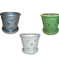 7" Ring Orchid Pot Assortment