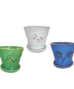 7" Olive Branch Orchid Pot Assortment