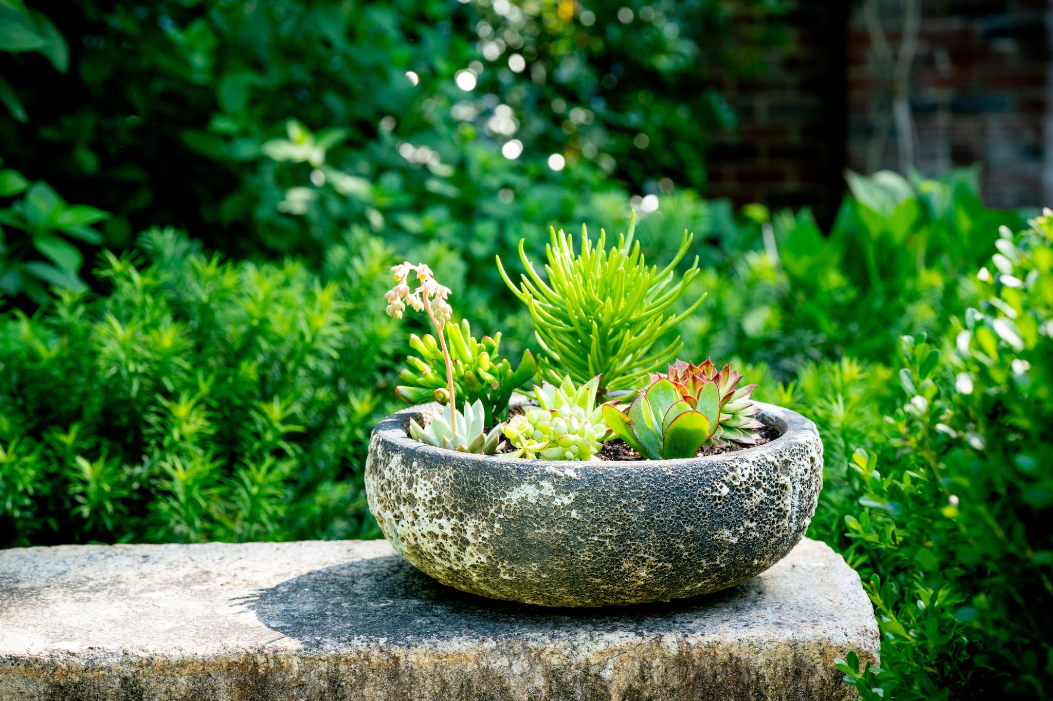487524700_1227131349417917_3767506063729794120_n Lotus International Inc. Pottery